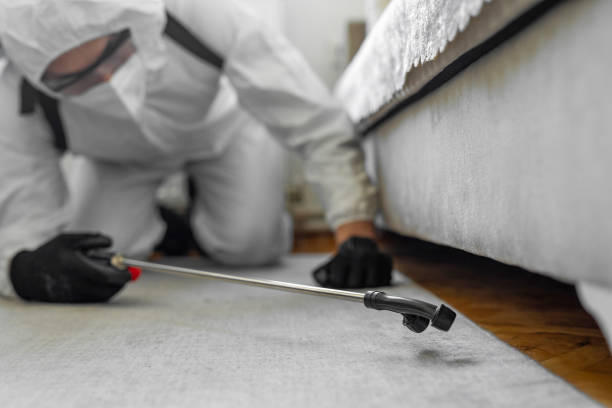 Professional Pest Control technician working in Walsenburg, CO